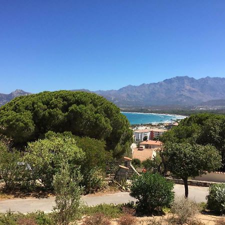 Appartement Calvi Calvi (Corsica) Exterior foto