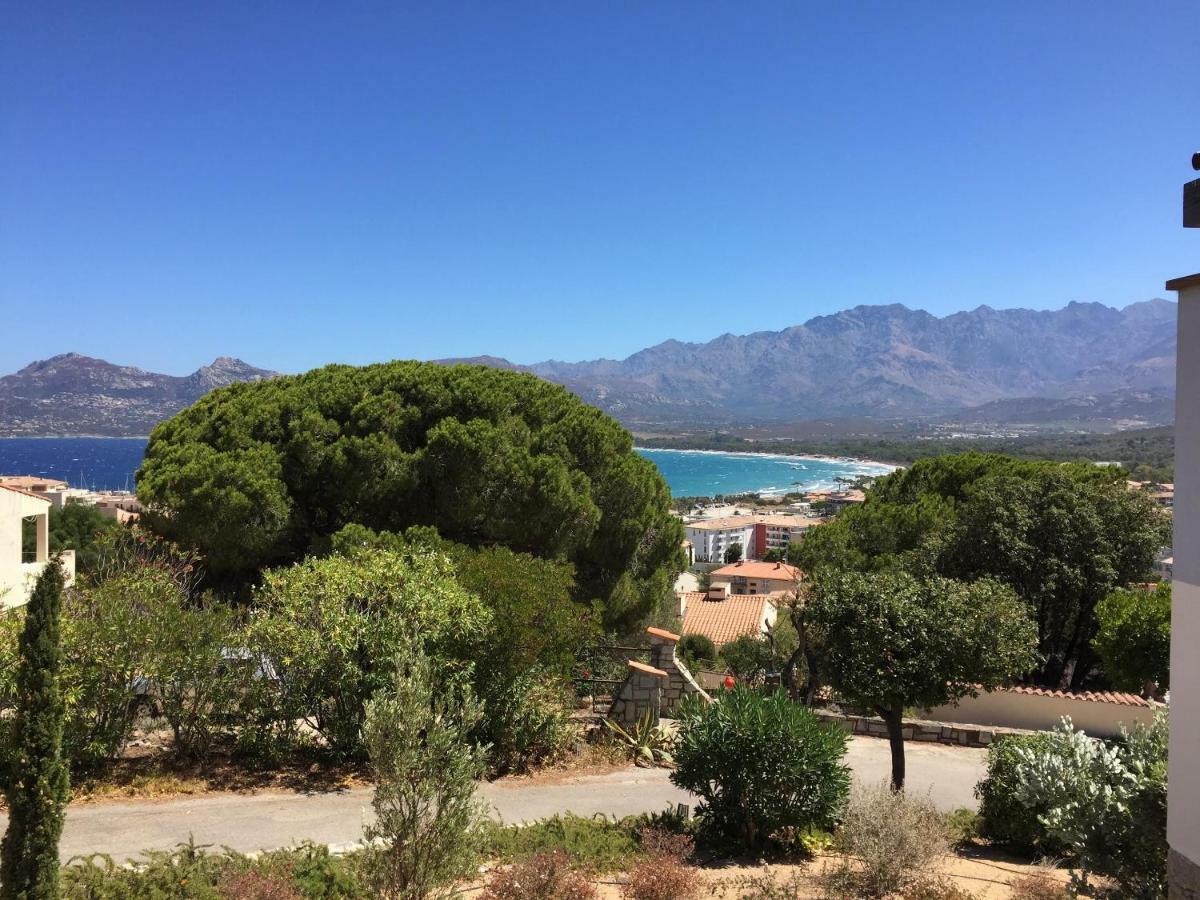 Appartement Calvi Calvi (Corsica) Exterior foto